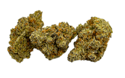 The Top 5 Sativa Strains of 2022