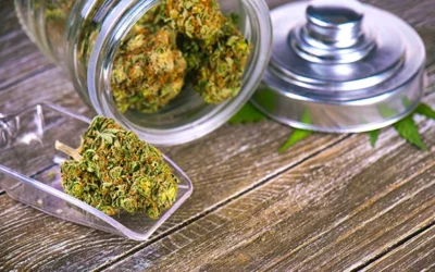 Dispensary Do’s and Don’ts: Insider Tips for a Successful Dispensary Experience from your Local Denver Cannabis Shop